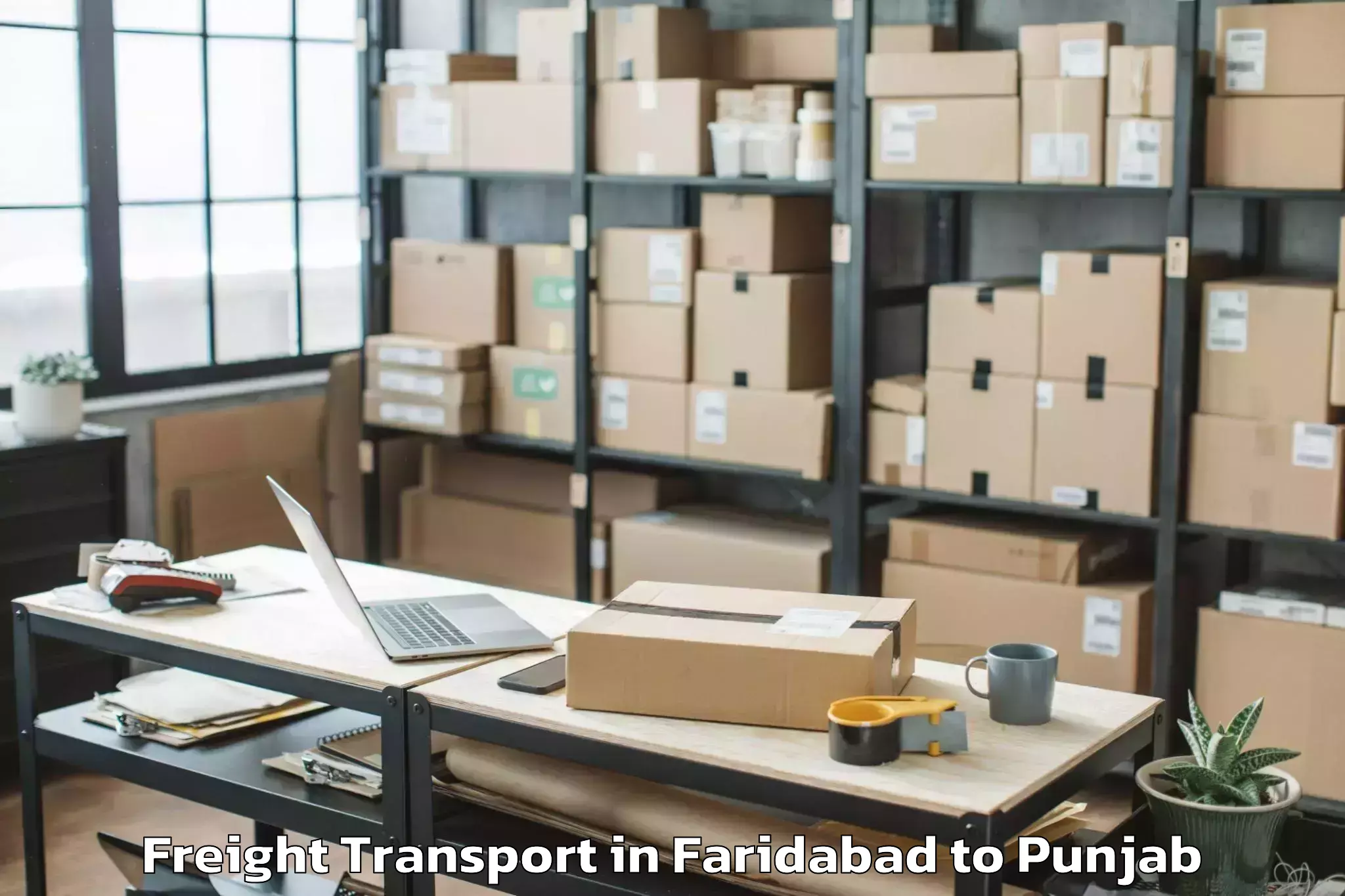 Comprehensive Faridabad to Batala Freight Transport